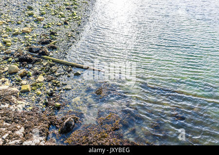 Antenne flache Ansicht von Oben nach Unten von felsigen Strand Ufer in Bar Harbor, Maine von Acadia National Park Stockfoto