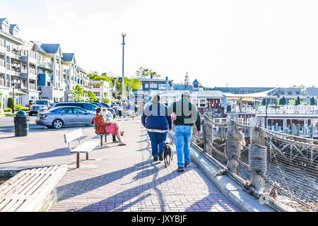 Bar Harbor, USA - Juni 8, 2017: Paar auf dem Bürgersteig mit Hund von Oceanfront Häuser in der Innenstadt von Dorf im Sommer Stockfoto