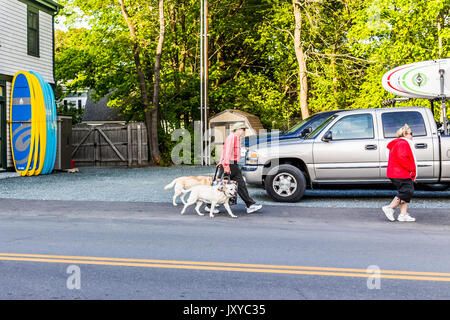 Bar Harbor, USA - Juni 8, 2017: Glückliche Menschen Kreuzung Bürgersteig Straße in der Innenstadt von Dorf im Sommer auf der Straße mit Hunden Stockfoto