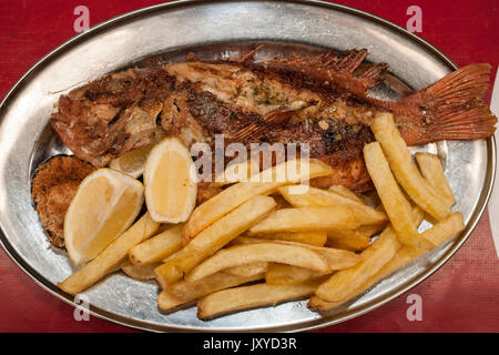 Gegrillte Rote römischen Fisch als an Kalky's Restaurant in Kalk Bay, Kapstadt serviert. Stockfoto