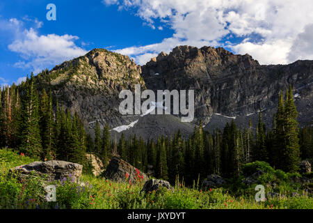 Am späten Nachmittag Sonne leuchtet oben auf dem Hausberg Devil's Castle und die roten Pinsel und lila Lupine bei Albion Becken, Alta, Utah. Stockfoto