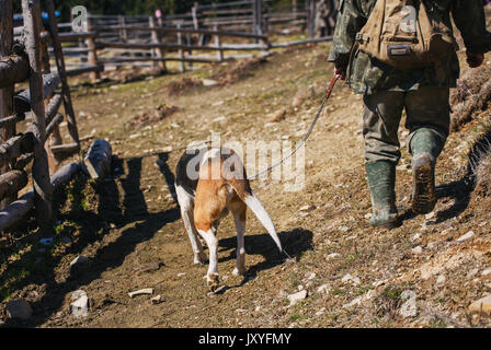 Jäger und seinem Hund auf Feldweg. hunter Hund Stockfoto