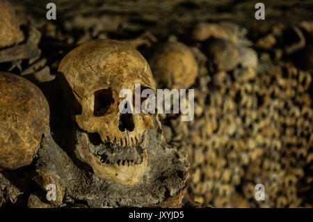 Knochen, Skelette und Totenköpfe Stapel übereinander Stockfoto