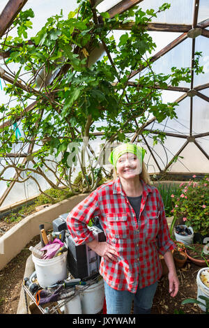 Kaukasische Frau im Garten arbeiten im Gewächshaus Stockfoto