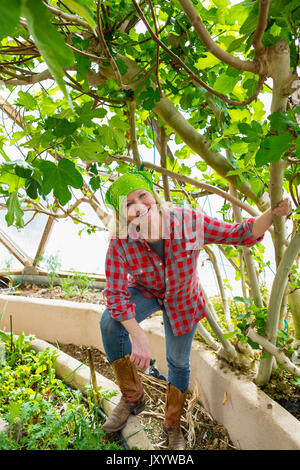 Kaukasische Frau im Garten arbeiten im Gewächshaus Stockfoto