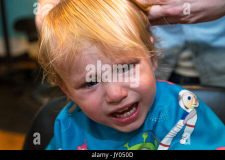 Kaukasische Toddler boy sitzt und weint, während Er sich die Haare schneiden. Stockfoto