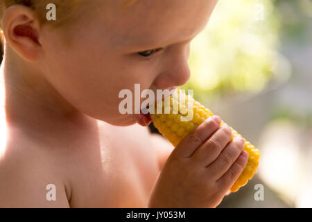 Kaukasische Toddler Boy ohne Hemd auf, sitzt alleine und isst Mais am Kolben Stockfoto