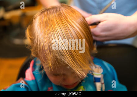 Kaukasische Toddler boy sitzt und weint, während Er sich die Haare schneiden. Stockfoto