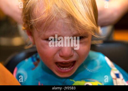 Kaukasische Toddler boy sitzt und weint, während Er sich die Haare schneiden. Stockfoto