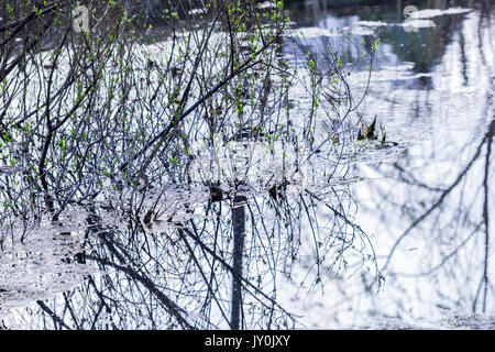 Kalter Frühling Wasser im Fluss am Tag Stockfoto