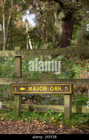 Herbstwanderungen. Bilder auf der Strecke des Sherwood Forest Trail von Christopher Somerville mit Start und Ziel an der großen Eiche und t Stockfoto