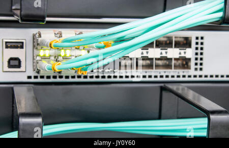 Fiber Optic Patch führt zu einer Verteilung über das Netzwerk Router mit einer geringen Tiefenschärfe angeschlossen Stockfoto