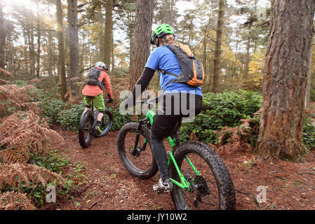 Kaukasische paar Reiten Fahrräder im Wald Stockfoto