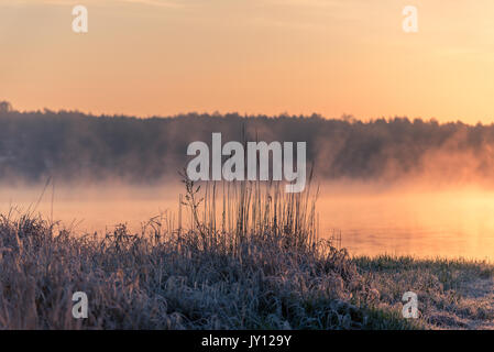 Magischen Sonnenaufgang über einem See Stockfoto