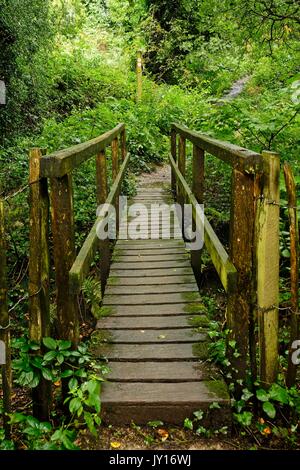 Holzbrücke Stockfoto