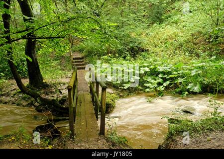 Holzbrücke über den Fluss churnet Stockfoto