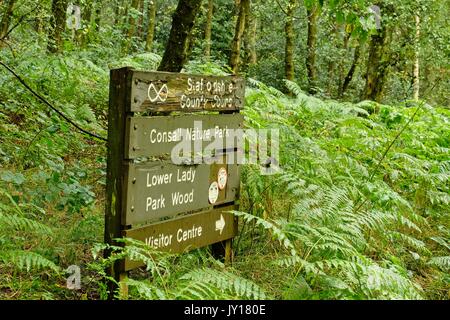 Consall natur park Stockfoto