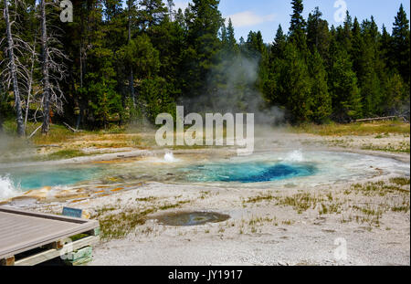 Krampfhafte Geysir im Upper Geyser Basin, Yellowstone National Park, USA Stockfoto