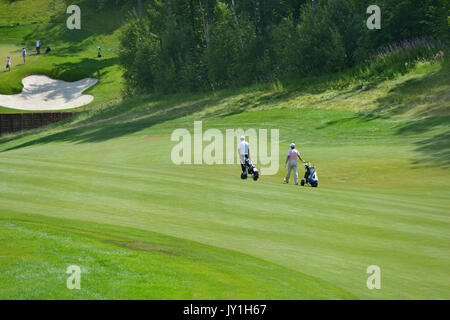 Tseleevo, Moskauer Gebiet, Russland - Juli 24, 2014: Golfspieler auf dem Golfkurs in der Tseleevo Golf & Polo Club während der M2M-russischen Öffnen. Diese interna Stockfoto