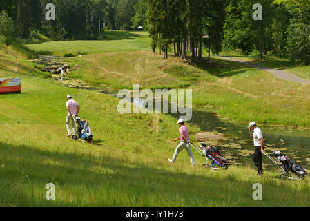 Tseleevo, Moskauer Gebiet, Russland - Juli 24, 2014: Golfspieler auf dem Golfkurs in der Tseleevo Golf & Polo Club während der M2M-russischen Öffnen. Diese interna Stockfoto