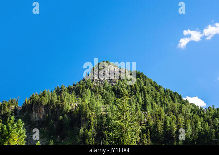 Oben auf den Bergen im blauen Himmel. Der Berg überwachsen mit Tannen. grünen Hügel vor einem blauen Himmel mit weißen Wolken Stockfoto