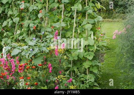 Englisches cottage Gemüse- und Blumengarten im Spätsommer. Warwickshire, Großbritannien Stockfoto