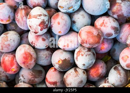 Frische reife Pflaumen Textur, Hintergrund Stockfoto