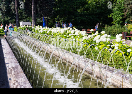 Moskau, Russische Föderation - August 2, 2017: Sokolniki Park mit Leute, Touristen und Seemänner der Marine Armee genießen Sie den Sommer Tag Stockfoto