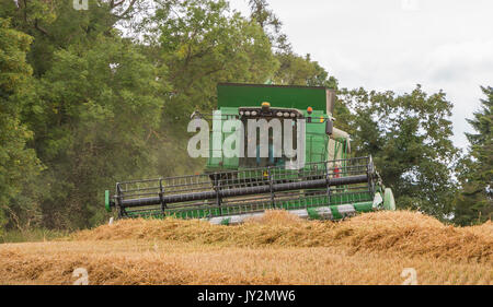 UK Anbau, Ernte, John Deere Hillmaster Mähdrescher bei der Arbeit auf einer Ernte von Weizen bei Wycliffe, Teesdale August 2017 Stockfoto