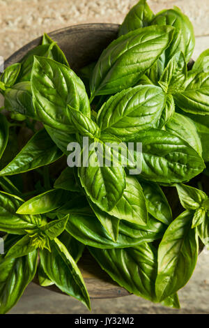 Raw Green Bio Basilikum Bereit zum Kochen Stockfoto