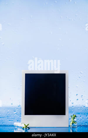 Einfache Stillleben mit Instant Bilderrahmen, Sommer Regen, Tropfen auf ein Fenster und Löwenzahn ist ein Glas Vase auf einem blauen Hintergrund. Kopieren Sie Platz. Stockfoto