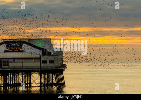 Starling murmuration bei Blackpool North Pier Großbritannien Stockfoto