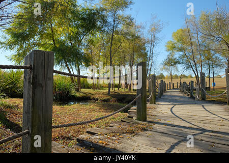 Wanderweg aus Holz, in Blount Cultural Park, Montgomery Alabama, USA. Dieses Teil aus Holz ist und überquert einen kleinen Bach führt in einen See. Stockfoto