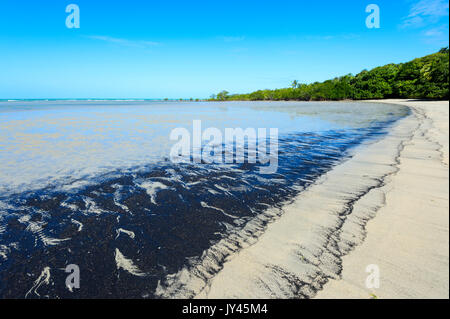 Sand Mustern aus ilmenit und Magnetit aus Granite ausgehöhlt, Cape Tribulation, Daintree National Park, Far North Queensland, FNQ, QLD, Australien Stockfoto