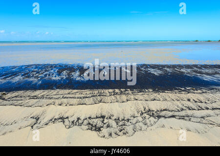 Sand Mustern aus ilmenit und Magnetit aus Granite ausgehöhlt, Cape Tribulation, Daintree National Park, Far North Queensland, FNQ, QLD, Australien Stockfoto