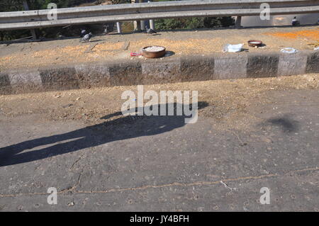 Taube in Neu Delhi, Kabootarbazi, Leidenschaft der Taubenhaltung, Taubenfliegen in einem Park, Ruhepause Taube, gehört, Tauben, gräulich, blau( © Saji Maramon) Stockfoto
