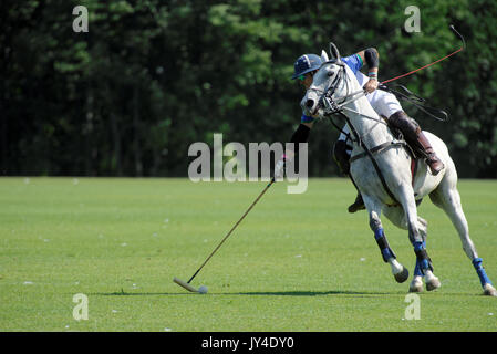 Tseleevo, Moskau, Russland - 26. Juli 2014: Esteban Panelo von Moskau Polo Club in Aktion im Spiel gegen das Team von britischen Schulen während Stockfoto