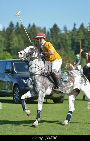 Tseleevo, Moskauer Gebiet, Russland - Juli 26, 2014: Boris Osoyev der Tseleevo Polo Club Aufwärmen vor dem Spiel gegen den Oxbridge Polo Team während des Th Stockfoto