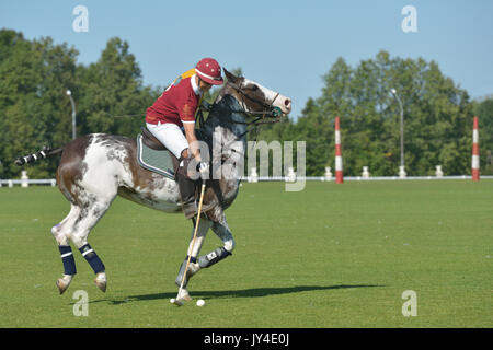 Tseleevo, Moskauer Gebiet, Russland - Juli 26, 2014: Boris Osoyev der Tseleevo Polo Club Aufwärmen vor dem Spiel gegen den Oxbridge Polo Team während des Th Stockfoto