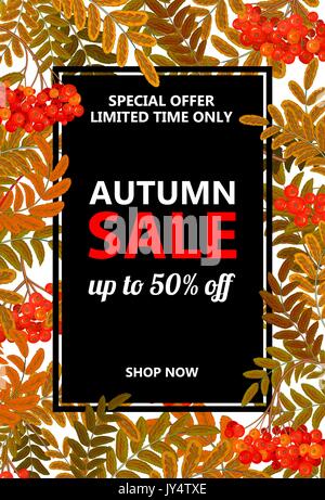 Saisonale Herbst Sale vertikale Banner mit Inschriften und Handzeichnung herbstliches rot Rowan, Vector Illustration Stock Vektor