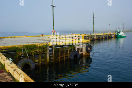 Fischtrawler vom Pier in St.Lunaire-Griquet an der nördlichen Spitze des Großen nördlichen Halbinsel, Neufundland, Kanada günstig Stockfoto