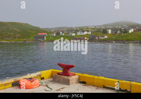 Misty Morning in Stadt St.Lunaire-Griquet an der nördlichen Spitze des Großen nördlichen Halbinsel, Neufundland, Kanada Stockfoto