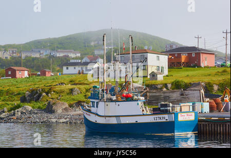 Fischtrawler im Hafen von St.Lunaire-Griquet an der nördlichen Spitze des Großen nördlichen Halbinsel, Neufundland, Kanada Stockfoto