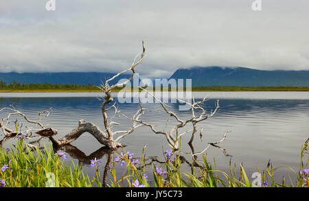 Blick auf den Wanderweg zu Western Brook Pond ein See fjord unter den Long Range Berge, Gros Morne National Park, Neufundland, Kanada Stockfoto