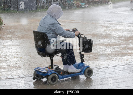 Southport, Merseyside, UK. 18 Aug, 2017. UK Wetter. Heavy Rain & Sintflutartige Schauer Ankünfte Grüße an der jährlichen Southport Flower Show am 2. Tag dieses botanischen Extravaganz. Aussteller, Garten Designer, und floralen Exponate erwarten die Ankunft von bis zu 80.000 Besuchern, von denen erwartet wird, dass sie zu dieser berühmten jährlichen Veranstaltung zu besuchen. Kredit; MediaWorldImages/AlamyLiveNews Stockfoto