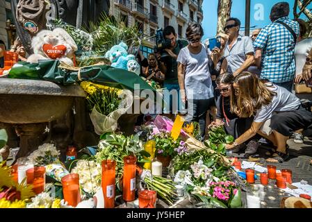 Barcelona, Spanien. 18 Aug, 2017. Trauernde eine Blume an einem provisorischen Denkmal am Canaletas Brunnen in Las Ramblas, wo ein Van durch die Massen während eines 550 Meter langen Dschihadistischen terror Reise gepflügt. 13 Tote und fast 80 Verletzte, 15 ernst, als der van Riss durch die Menge der Credit: Matthias Oesterle/Alamy leben Nachrichten Stockfoto