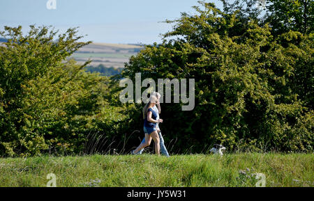 Arundel West Sussex, UK. 19 Aug, 2017. Einen schönen sonnigen Morgen für einen Spaziergang am Fluss Arun in Arundel heute Morgen mit Temperaturen um 21 Grad in einigen Teilen der heutigen Großbritannien: Simon Dack/Alamy Leben Nachrichten erreichen Stockfoto