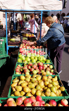 Arundel West Sussex, UK. 19 Aug, 2017. Ein bauernmarkt an einem schönen sonnigen Morgen für den Start von Arundel Festival heute mit Temperaturen um 21 Grad in einigen Teilen der heutigen Großbritannien: Simon Dack/Alamy Leben Nachrichten erreichen Stockfoto