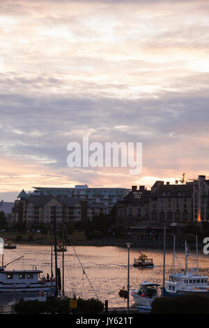 Wasser Taxi Taxi in Victoria BC-Hafen bei Sonnenuntergang, Vancouver Island Stockfoto