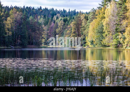 Nuuksio Nationalpark, in der Nähe von Helsinki Stockfoto